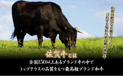 1000g 【佐賀牛】特選カルビ焼肉用（バラ・ウデ）D-608