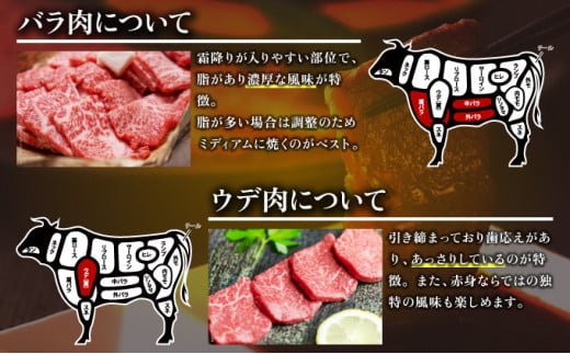 1000g 【佐賀牛】特選カルビ焼肉用（バラ・ウデ）D-608