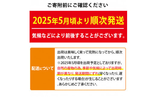 【0145910a】＜数量限定＞南国鹿児島県産の太陽の恵み！完熟マンゴー(計1kg以上・2-3個入り) 果物 フルーツ 果実 デザート 国産 冷蔵【東串良物産館ルピノンの里】