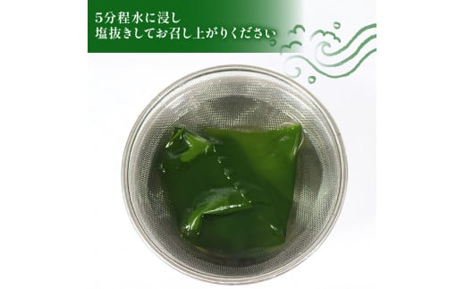 湯通し塩蔵こんぶ 500g×2袋  昆布 こんぶ 海鮮 海藻 魚貝類 魚介類 小分け 煮物 おでん 煮しめ 出汁 だし 三陸産 岩手県 大船渡市