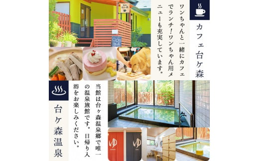 台ケ森温泉 山野川旅館 DogVillage台ケ森 施設利用券 6,000円分 ドッグラン 宿泊 日帰り温泉 温泉旅館 ペット 大型犬 中型犬 小型犬 カフェ【山野川旅館】ta197