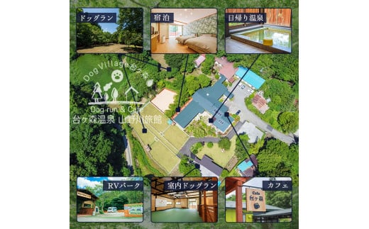 台ケ森温泉 山野川旅館 DogVillage台ケ森 施設利用券 6,000円分 ドッグラン 宿泊 日帰り温泉 温泉旅館 ペット 大型犬 中型犬 小型犬 カフェ【山野川旅館】ta197