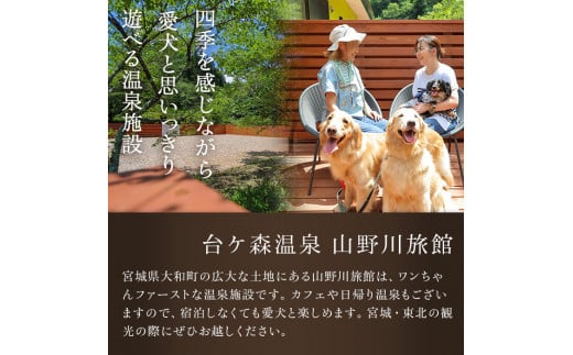 台ケ森温泉 山野川旅館 DogVillage台ケ森 施設利用券 6,000円分 ドッグラン 宿泊 日帰り温泉 温泉旅館 ペット 大型犬 中型犬 小型犬 カフェ【山野川旅館】ta197