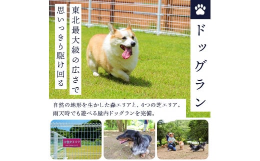 台ケ森温泉 山野川旅館 DogVillage台ケ森 施設利用券 6,000円分 ドッグラン 宿泊 日帰り温泉 温泉旅館 ペット 大型犬 中型犬 小型犬 カフェ【山野川旅館】ta197