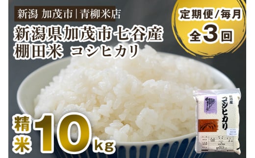 【令和6年産新米】【定期便3回毎月お届け】新潟産コシヒカリ 加茂市七谷産 棚田米 精米10kg（5kg×2）白米 真空パック 青柳米店 定期便