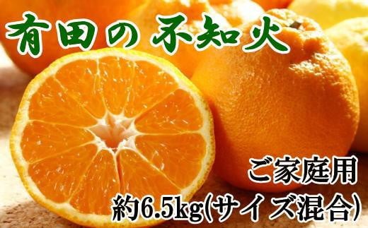 【濃厚】有田の不知火約6.5kgご家庭用向け（サイズ混合）★2025年2月中旬頃より順次発送【TM70】