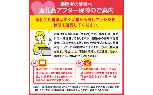 【令和6年産 先行予約】山形セレクション　ラ・フランス 2kg 山形県 東根市 hi069-001