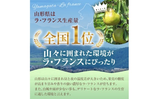 【令和6年産 先行予約】山形セレクション　ラ・フランス 2kg 山形県 東根市 hi069-001