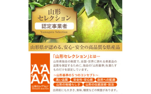 【令和6年産 先行予約】山形セレクション　ラ・フランス 2kg 山形県 東根市 hi069-001