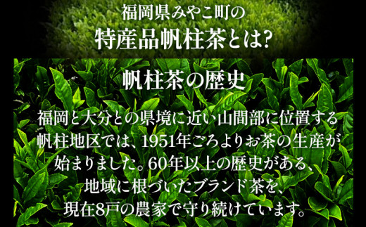 ＜銘茶みやこ町特産・帆柱茶＞極上（100g×3袋） 福岡県 お茶 日本茶 緑茶 お土産 伝統 茶葉