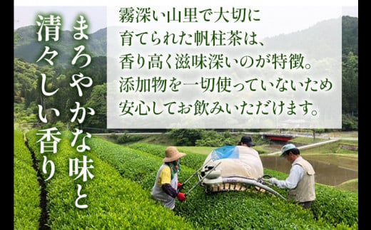 ＜銘茶みやこ町特産・帆柱茶＞極上（100g×3袋） 福岡県 お茶 日本茶 緑茶 お土産 伝統 茶葉