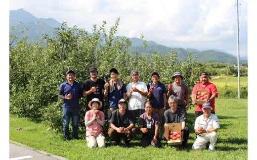 KR15-24A   りんご サンふじ （中玉） 贈答 約5kg / 11月下旬頃～配送予定 // 長野県 南信州 松川町 ギフト りんご リンゴ 林檎 サンふじ