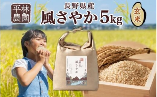 令和6年産 風さやか 玄米 5kg×1袋 長野県産 米 お米 ごはん ライス 低GI 甘み 農家直送 産直 信州 人気 ギフト お取り寄せ 平林農園 送料無料 長野県 大町市