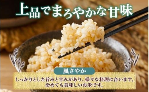 令和6年産 風さやか 玄米 5kg×1袋 長野県産 米 お米 ごはん ライス 低GI 甘み 農家直送 産直 信州 人気 ギフト お取り寄せ 平林農園 送料無料 長野県 大町市