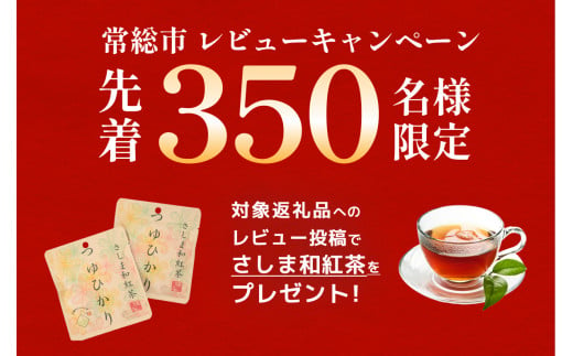 【定期便4回】直火焼 ハンバーグ デミグラスソース 1セット22個入り 3kg超え 合計88個 ふるさと納税 ふるさとチョイス デミグラス ハンバーグ ハンバーグ 冷凍 調理済み 個包装 簡単調理 ハンバーグ 湯煎 湯せん 温めるだけ レトルト 惣菜 お弁当 おかず ギフト 贈り物 大容量 デミグラスソース 牛肉 ひき肉 挽肉 人気 茨城 常総 小分け 10個 以上 20個 以上 はんばーぐ 