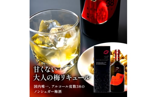 【祝北陸新幹線延伸】梅酒 BENICHU20° BENICHU38° 300ml 2本 甘くない梅酒 飲み比べセット お酒 リキュール うめしゅ 酒 アルコール 飲み比べ セット 紅映梅 微糖 無糖 梅 うめ ウメ 福井県 福井[№5580-0018]