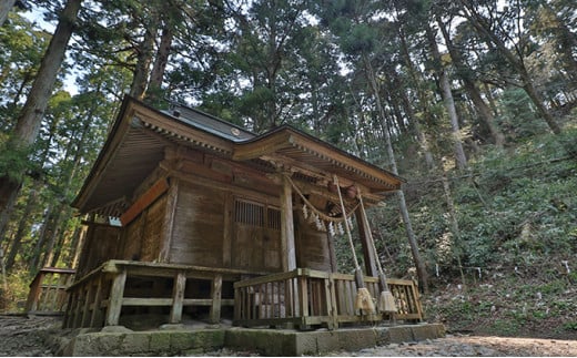 お札拝受代行(日本遺産構成文化財「黄金山神社」拝受) 金運招福