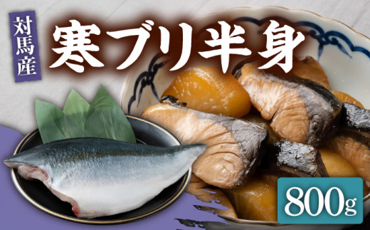 【24年1月9日以降発送】【1月限定】対馬 寒 ブリ 片身 800g《対馬市》【海風商事】国産 長崎 九州 刺身 [WAD004]冷蔵 新鮮 ぶり 寒ぶり フィレ  海鮮 魚介 鰤 刺身 しゃぶしゃぶ 煮物 BBQ 鍋 ブリしゃぶ 肉厚 