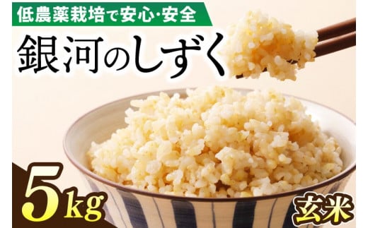 【新米】令和6年産 銀河のしずく 5kg (玄米) 低農薬栽培米 生産者直送 生産地域限定ブランド米 (EI017)