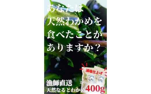 【漁師直送】天然なるとわかめ 200g×5袋 【 減塩 】  鳴門わかめ わかめ 天然 国産 希少 人気 湯通し 塩蔵 味噌汁 みそ汁 スープ お刺身 サラダ 酢の物 和え物