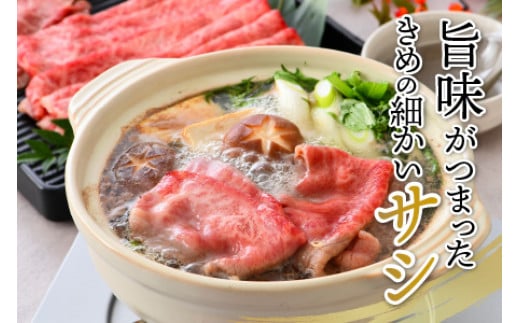 三ツ星若狭牛肩スライス 650g｜牛肉 焼肉 しゃぶしゃぶ すき焼き すき焼き肉 若狭牛 肉 肉セット 肉うどん 冷凍 650g ブランド牛 切り落とし 牛丼 炒め物 三ツ星牛 三ツ星 ギフト 贈答 