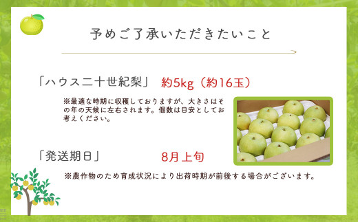 ハウス二十世紀梨【倉吉産】５ｋｇ（ＪＡ鳥取中央） 鳥取 梨 果物 フルーツ 和梨 先行予約 数量限定 詰め合わせ 二十世紀梨 20世紀梨 人気 甘い 今が旬