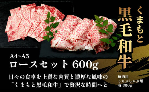 A4・A5 くまもと黒毛和牛 ロース セット 計600g ( すき焼き / 焼肉 各300g ) 