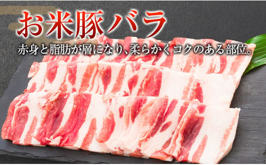 ◆宮崎県産 お米豚焼肉セット(合計1kg)