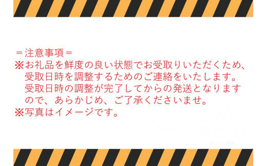 142J.氷温熟成舞茸『鳥取の宝』とどっさりしいたけの満ぷくセット〔定期便〕