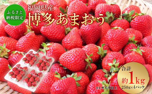 【2023年3月上旬より発送開始】【ふるさと納税限定】 博多 あまおう 約250g×4パック