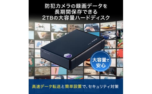 防犯カメラ録画用外付ハードディスク（2TB） [№5229-0469]