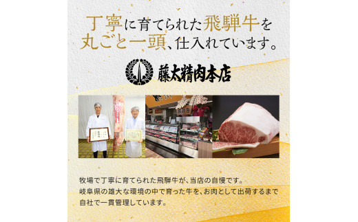 [№5533-0234]岐阜県海津市産 飛騨牛　すき焼き用　切り落し　500g