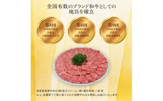 [№5533-0234]岐阜県海津市産 飛騨牛　すき焼き用　切り落し　500g