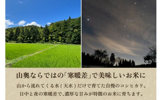 【令和6年産新米先行予約】新潟県加茂市 七谷産コシヒカリ  玄米10kg  《10月下旬～順次発送》 新潟産コシヒカリ 豊かな山水で育った天水米 加茂市 YAGOROU ヤゴロウ