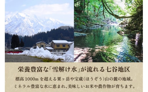 【令和6年産新米先行予約】新潟県加茂市 七谷産コシヒカリ  玄米10kg  《10月下旬～順次発送》 新潟産コシヒカリ 豊かな山水で育った天水米 加茂市 YAGOROU ヤゴロウ