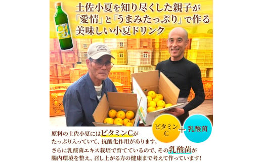 福袋 特産品5品詰め合わせセット（調味料 コーヒー粉 柑橘飲料 お菓子など）小夏ドリンク 乳酸菌 ドレッシング ゴマ コーヒー 足摺ブレンド だし醤油 亀おこし ギフト プレゼント【R00453】