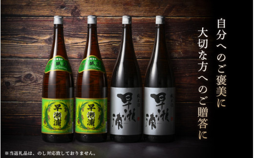 【早瀬浦】本醸造 1800ml × 2本 ＆ 純米酒 1800ml × 2本 セット【飲み比べ 日本酒 地酒 福井 美浜 早瀬 フルーティ 男酒 硬水 ミネラル 希少 ご褒美 家飲み】[m16-c004]