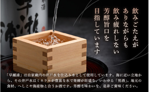 【早瀬浦】本醸造 1800ml × 2本 ＆ 純米酒 1800ml × 2本 セット【飲み比べ 日本酒 地酒 福井 美浜 早瀬 フルーティ 男酒 硬水 ミネラル 希少 ご褒美 家飲み】[m16-c004]