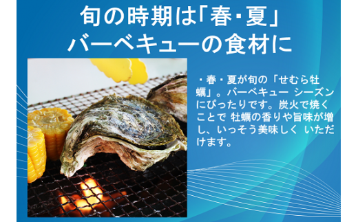 牡蠣 カキ 岩ガキ 岩がき 岩牡蠣 岩カキ 海のミルク 濃厚 クリーミー 夏バテ防止　5kg　冷凍 焼き 蒸し 加熱 