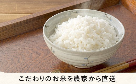 米 無農薬栽培 こしひかり 5kg × 6回 【 6か月 定期便 】( 令和5年産 ) 特別栽培米 なかまた農園 2023年10月上旬頃から順次発送予定 コシヒカリ 白米 精米 お米 無農薬 数量限定 信州 180000円 予約 農家直送 長野県 飯綱町 [1186]