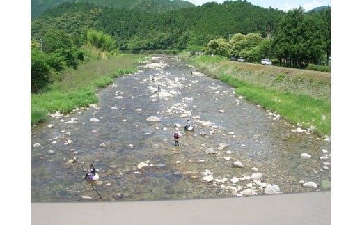 大又川 アユ 友釣り 年券鑑札 引換券 三重県熊野市 鮎