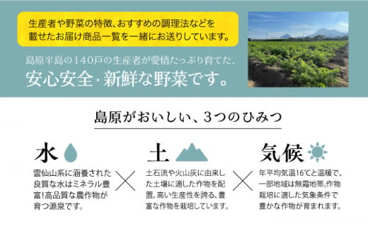 【6か月定期便】野菜・フルーツ・卵 旬のおまかせセット 長崎県/舞岳の里 [42ACAC003] 島原 雲仙 南島原 新鮮 国産 季節の野菜 野菜 やさい 卵  タマゴ 果物 セット 詰め合わせ  産地 直送 野菜セット フルーツ 玉子