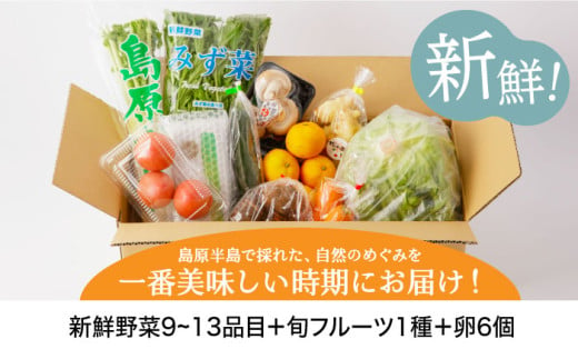 【6か月定期便】野菜・フルーツ・卵 旬のおまかせセット 長崎県/舞岳の里 [42ACAC003] 島原 雲仙 南島原 新鮮 国産 季節の野菜 野菜 やさい 卵  タマゴ 果物 セット 詰め合わせ  産地 直送 野菜セット フルーツ 玉子