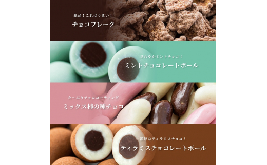 チョコレート　ミニパック　お楽しみセット　12品　11月～3月発送　チョコレート チョコ スイーツ お菓子 おかし お楽しみ 詰め合わせ ミニパック セット 食べ比べ ギフト プレゼント 兵庫県 伊丹市[№5275-0555]