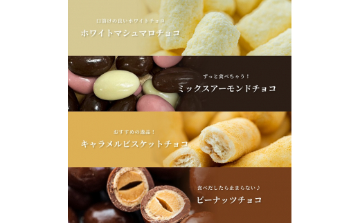 チョコレート　ミニパック　お楽しみセット　12品　11月～3月発送　チョコレート チョコ スイーツ お菓子 おかし お楽しみ 詰め合わせ ミニパック セット 食べ比べ ギフト プレゼント 兵庫県 伊丹市[№5275-0555]