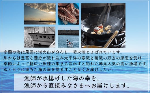 漁師が作った北海道シーフードカレー 6パック 【 ふるさと納税 人気 おすすめ ランキング 北海道 室蘭 カレー シーフードカレー シーフード レトルトカレー レトルト 海鮮 セット パック 北海道 室蘭市 送料無料 】 MROAL005