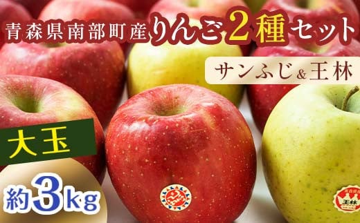 特選 (大玉) 青森産 完熟 りんご 約3kg サンふじ 王林 2種セット 【誠果園】 青森りんご リンゴ 林檎 アップル あおもり 青森 青森県 南部町 三戸 南部 澁川賞受賞 果物 くだもの フルーツ F21U-219