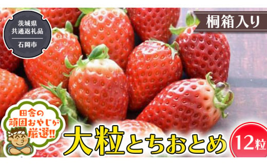 【桐箱入り】大粒とちおとめ12粒【令和6年12月から発送開始】（県内共通返礼品：石岡市産） いちご 苺 イチゴ とちおとめ 桐箱