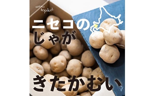 北海道ニセコ産！2023若山農産のきたかむい Sサイズ　5kg【26005】