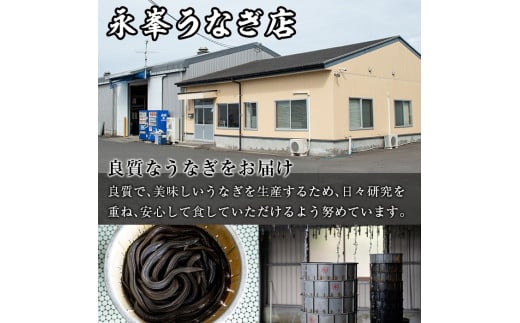 【18720】12月11日までのご入金で年内発送！大隅産うなぎの蒲焼(計約420g・約140g×3尾・有頭)うなぎ 高級 ウナギ 鰻 国産 蒲焼 蒲焼き たれ 鹿児島【永峯うなぎ店】